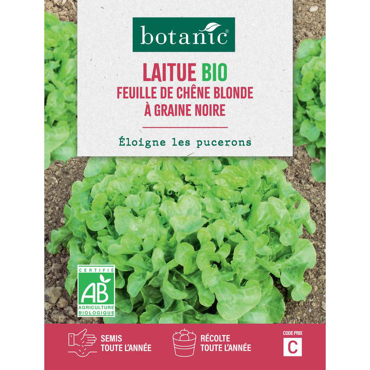 Graines de laitue feuille de chêne blonde à graine noire bio botanic graines feuille semer
