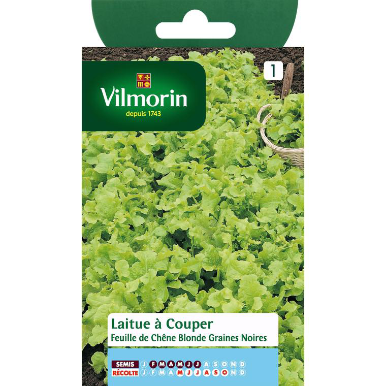 Graines De Laitue Feuille De Ch Ne Blonde Vilmorin Graines Semer