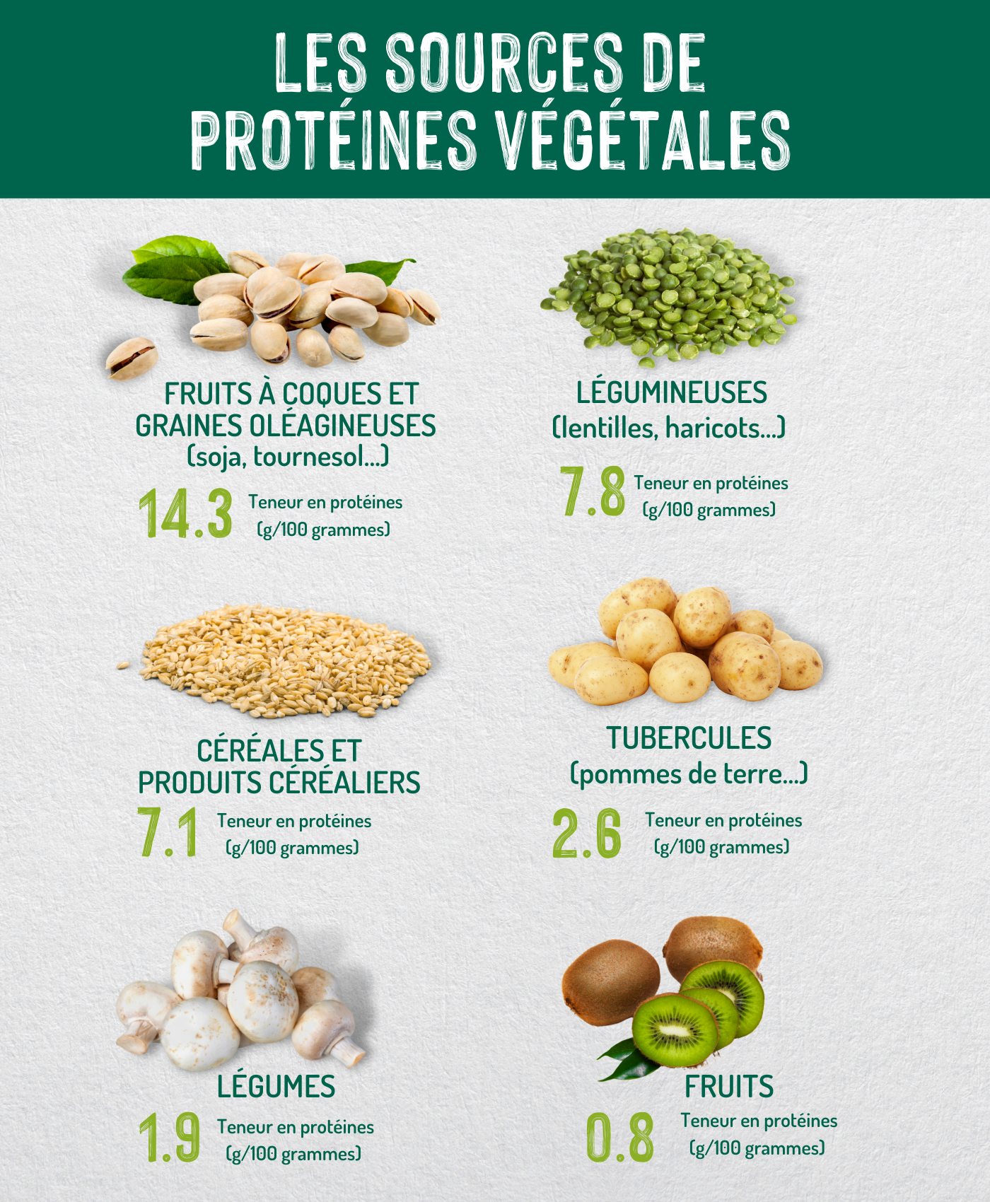 Les aliments sources de protéines végétales