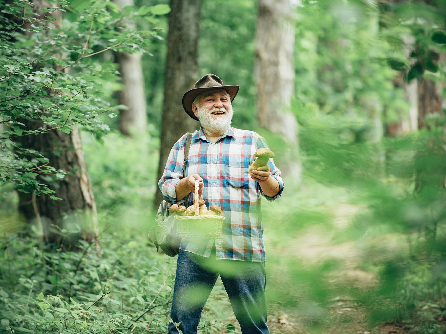 Un homme qui cueille des champignons en forêt