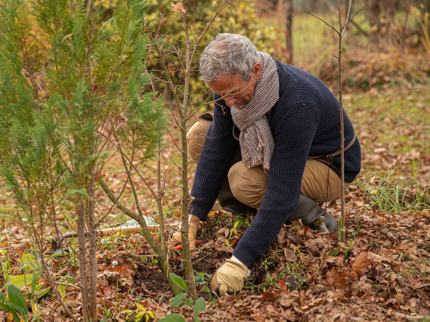 Un homme accroupi avec un outil à la main et en train de désherber son jardin à l'automne