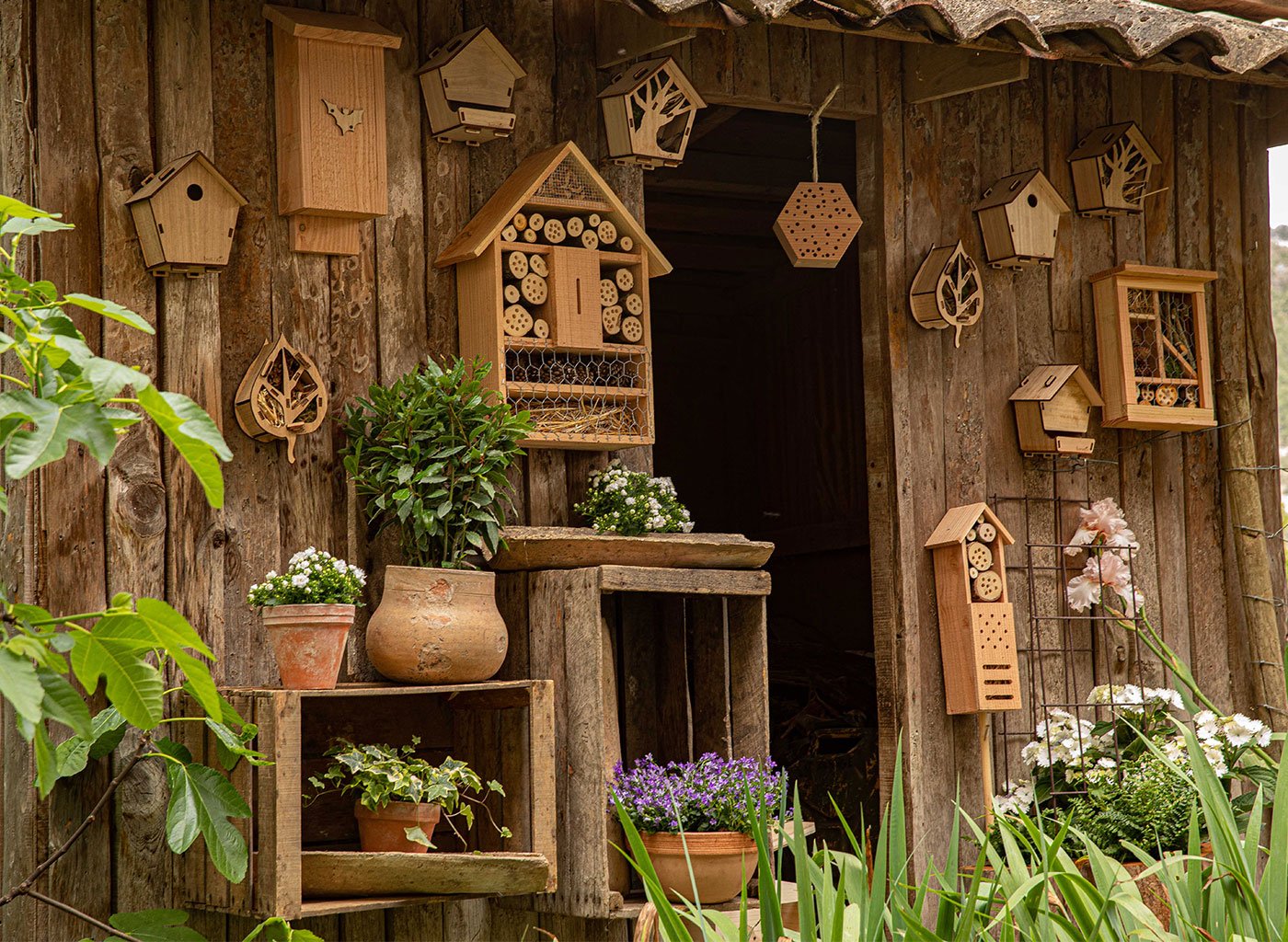 Abris en bois pour les insectes dans un jardin