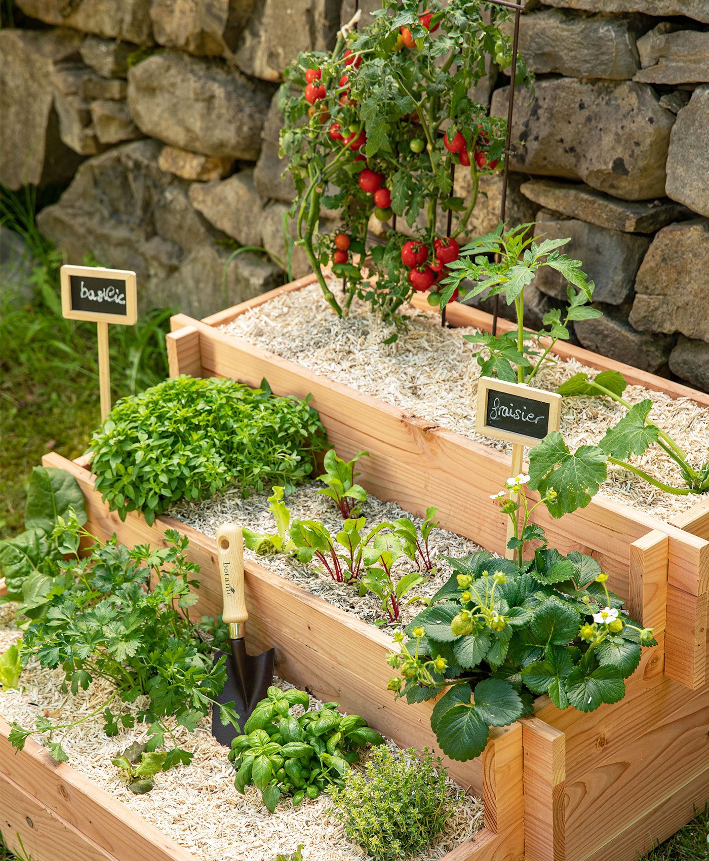 Plants de fruits et légumes faciles dans un carré potager