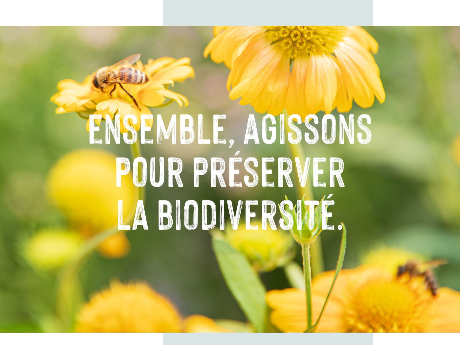 engagement en faveur de la biodiversité