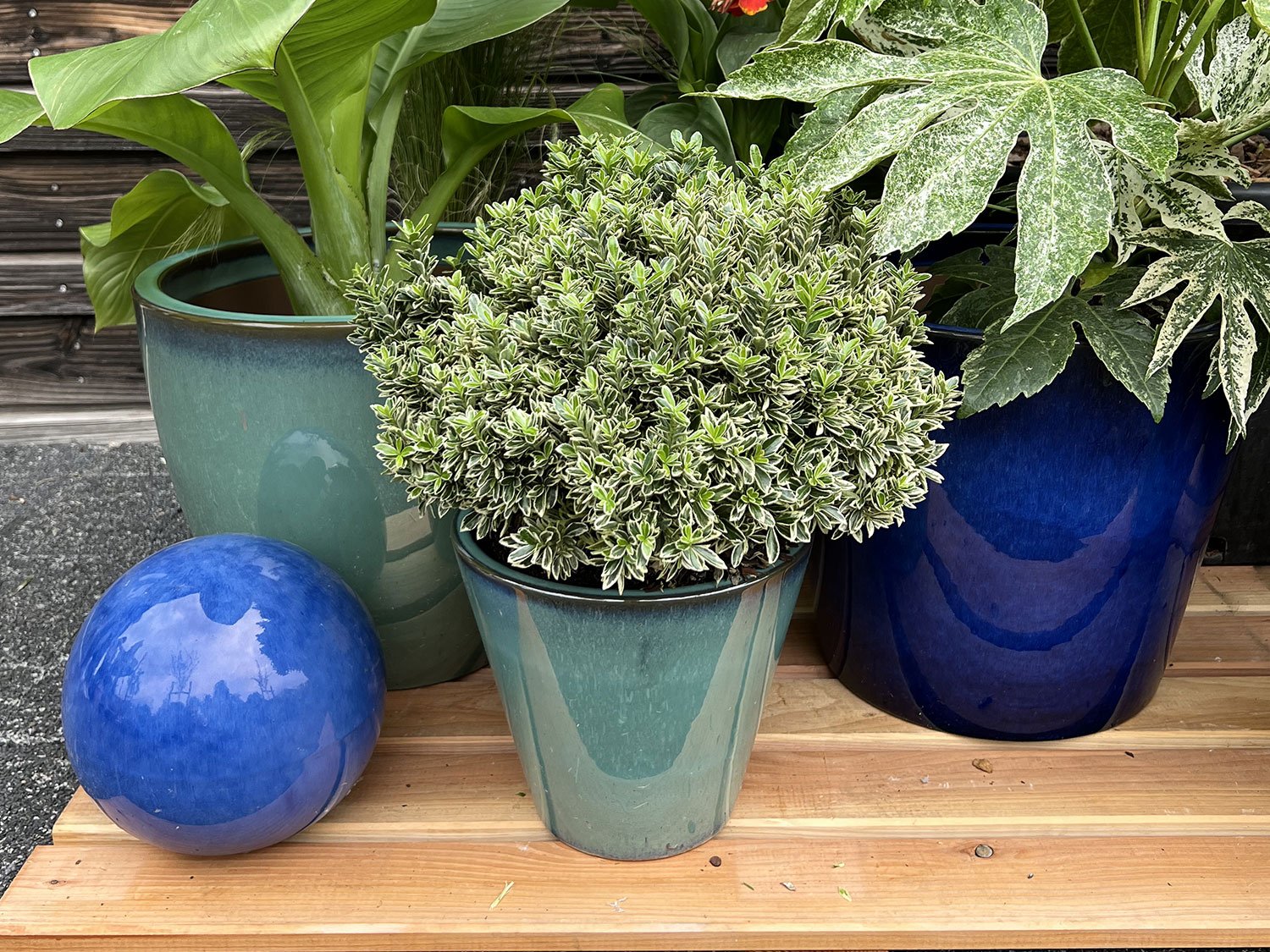 Des pots pour plantes d'extérieur botanic®