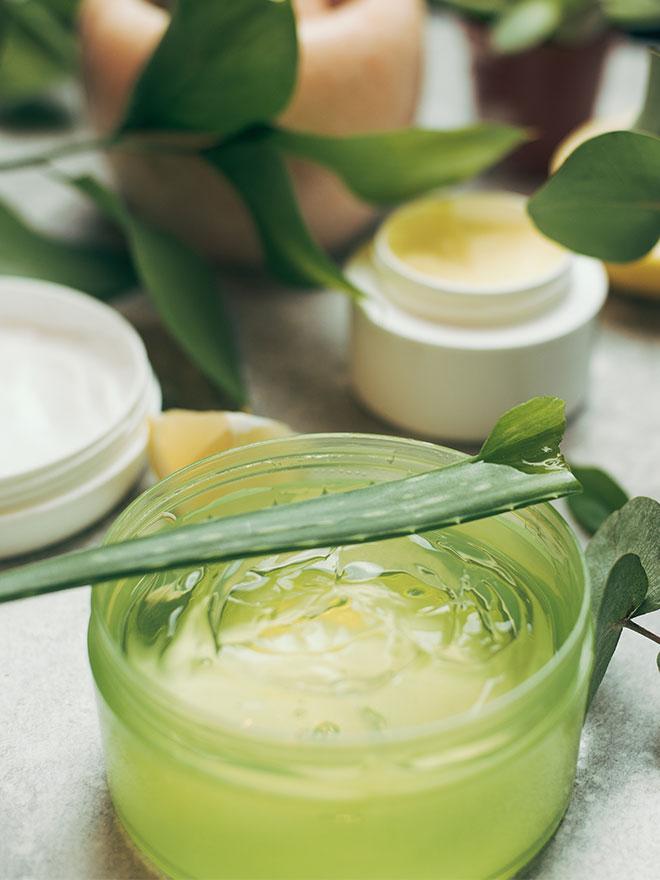 Conseils botanic® Les bienfaits de l'aloe vera bio pour la peau et l'organisme