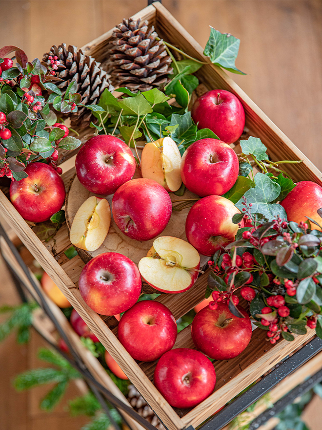 La monodiète de pommes