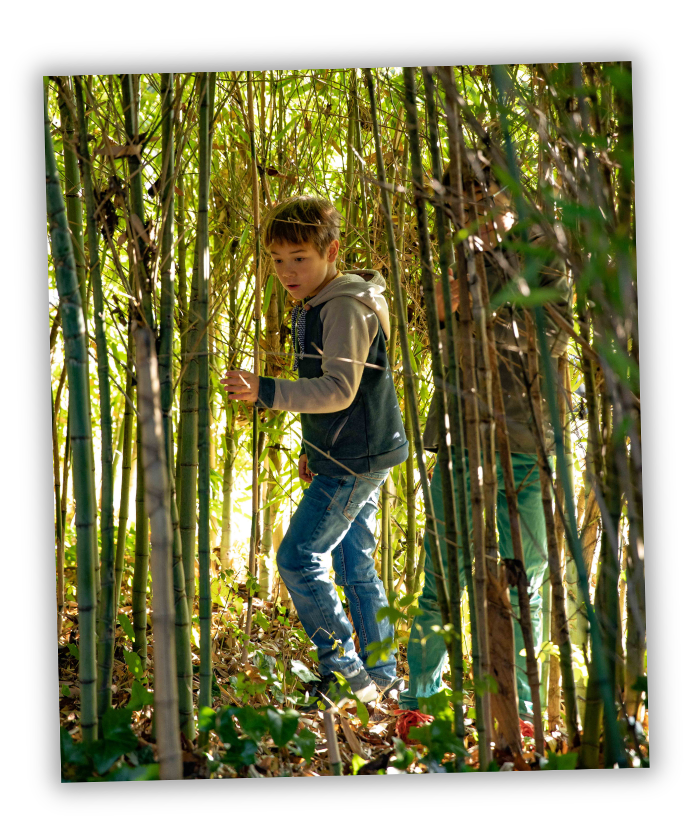 Deux petits garçons dans une forêt de bambous