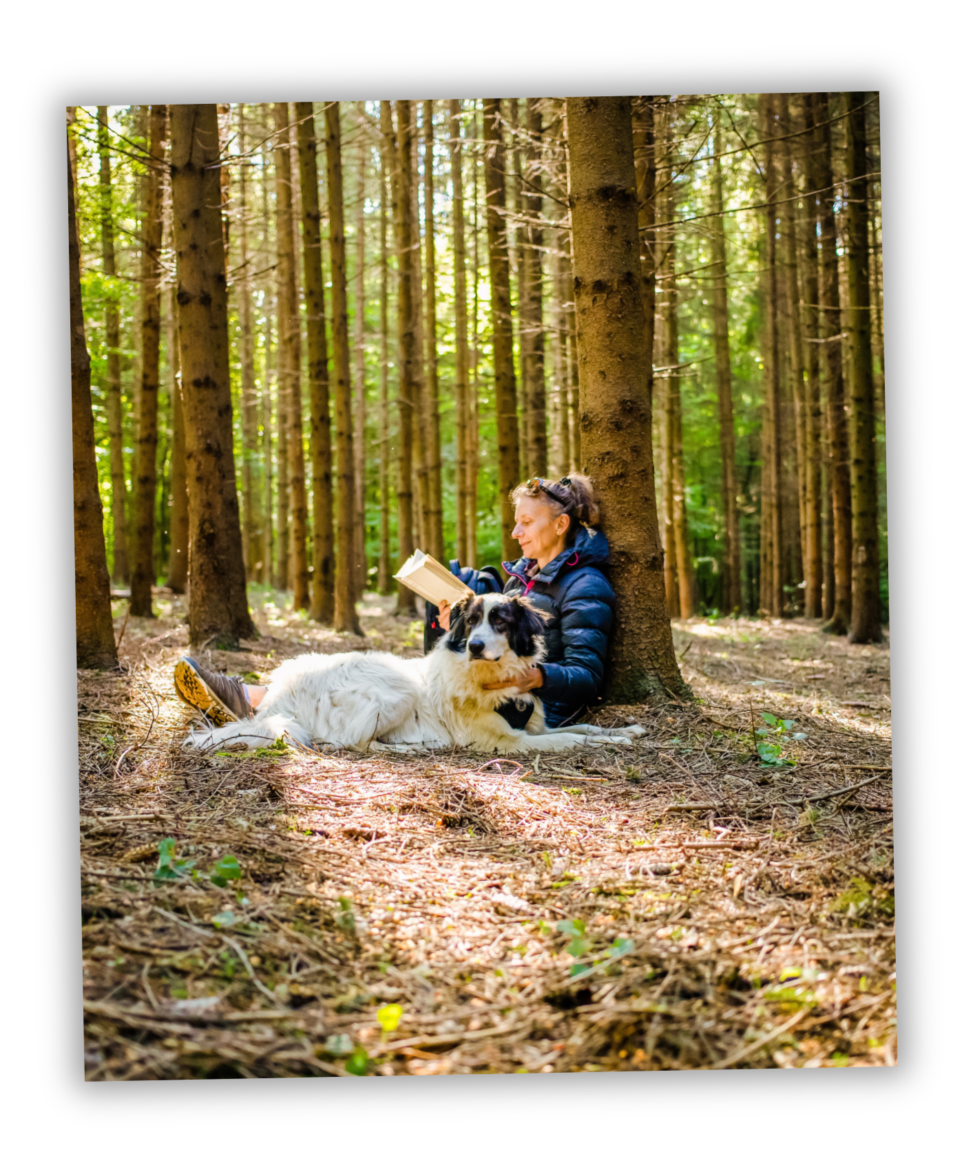 Une dame adossée à un arbre avec son chien
