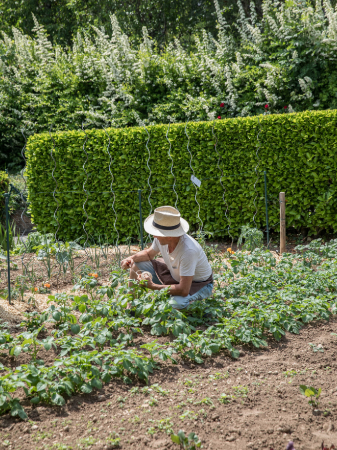 Un homme qui s'occupe de son potager