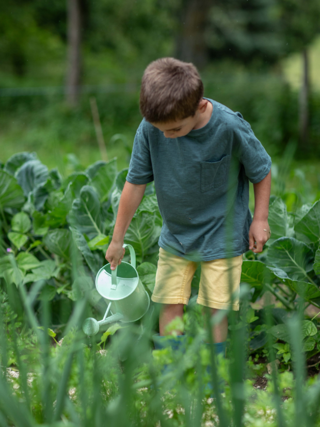 Conseil : comment cultiver un potager à l'ombre