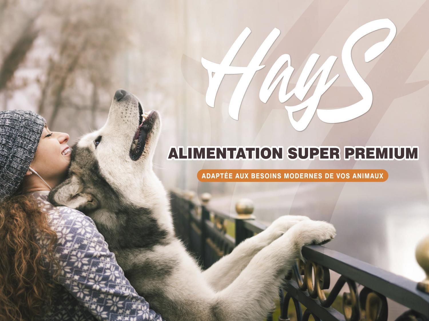 Hays page marque 1500x1125px