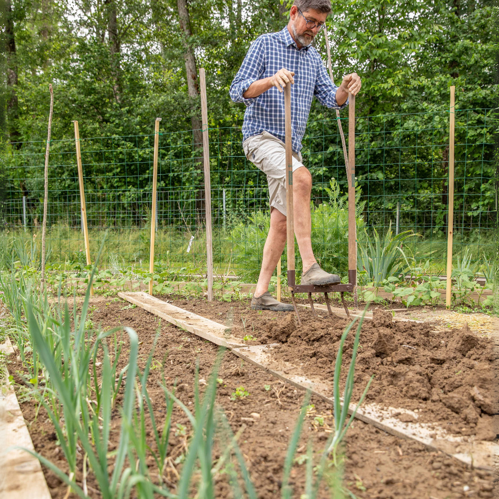 Un homme qui s'occupe de son potager
