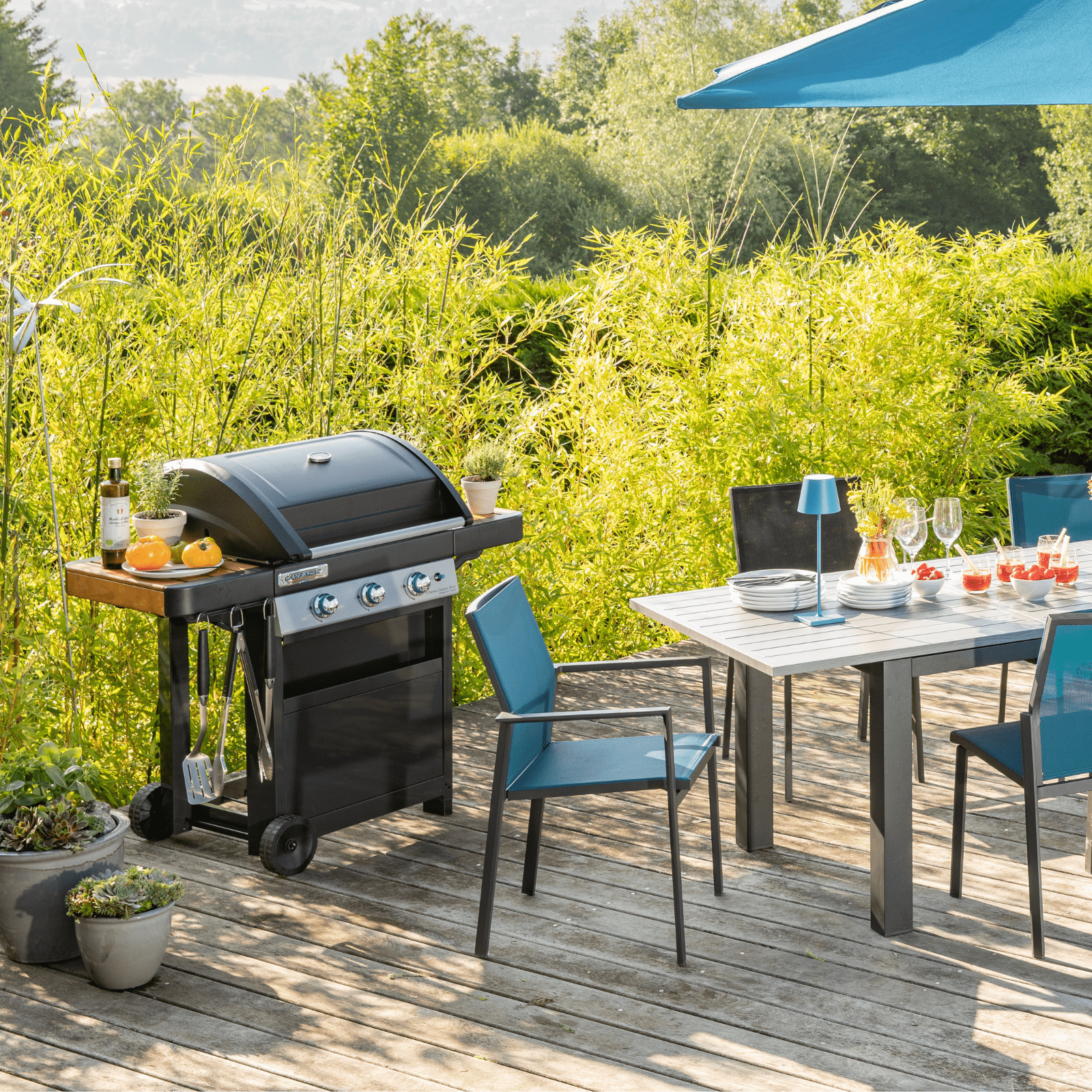 Barbecue pour un repas en extérieur