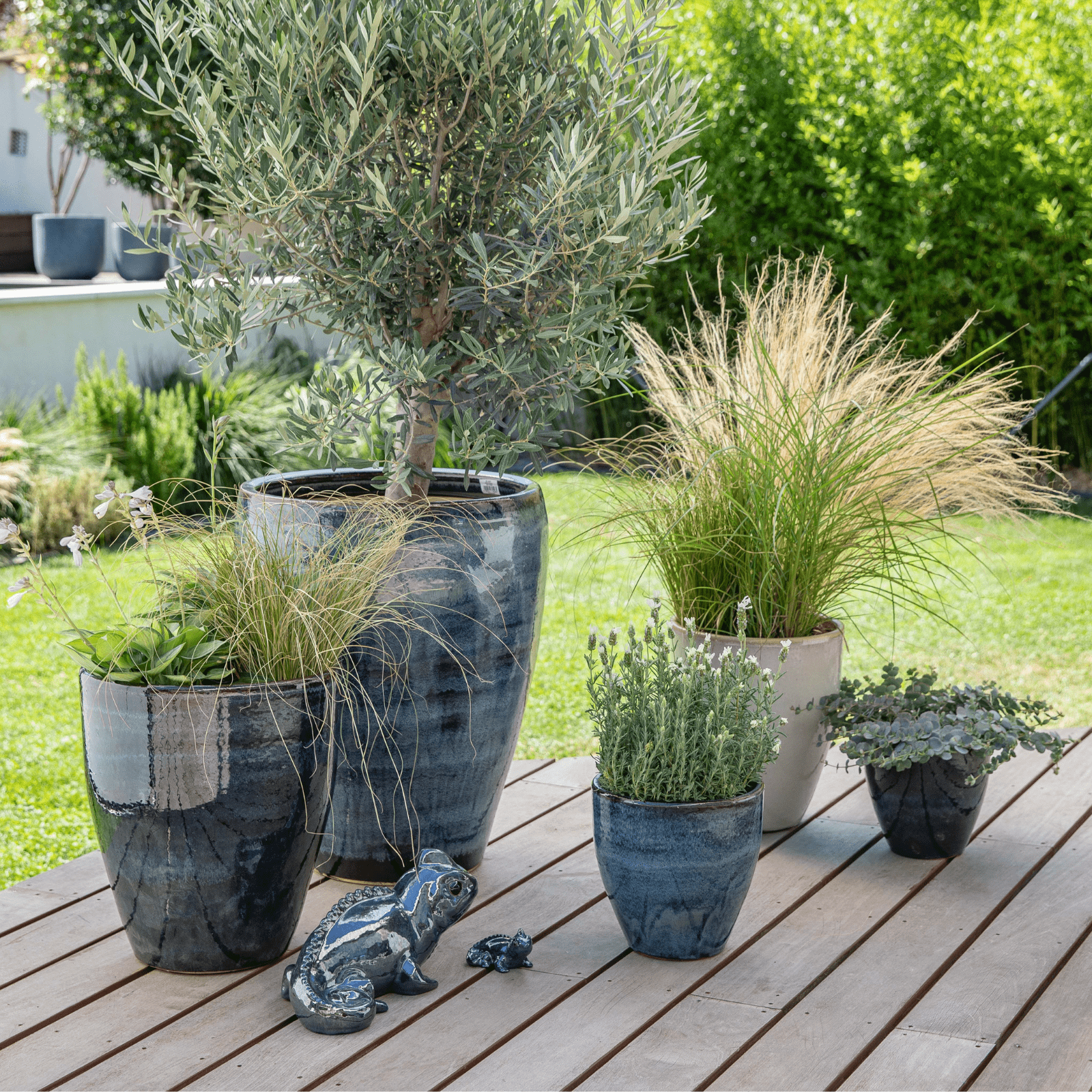 Plantes dans des pots sur la terrasse