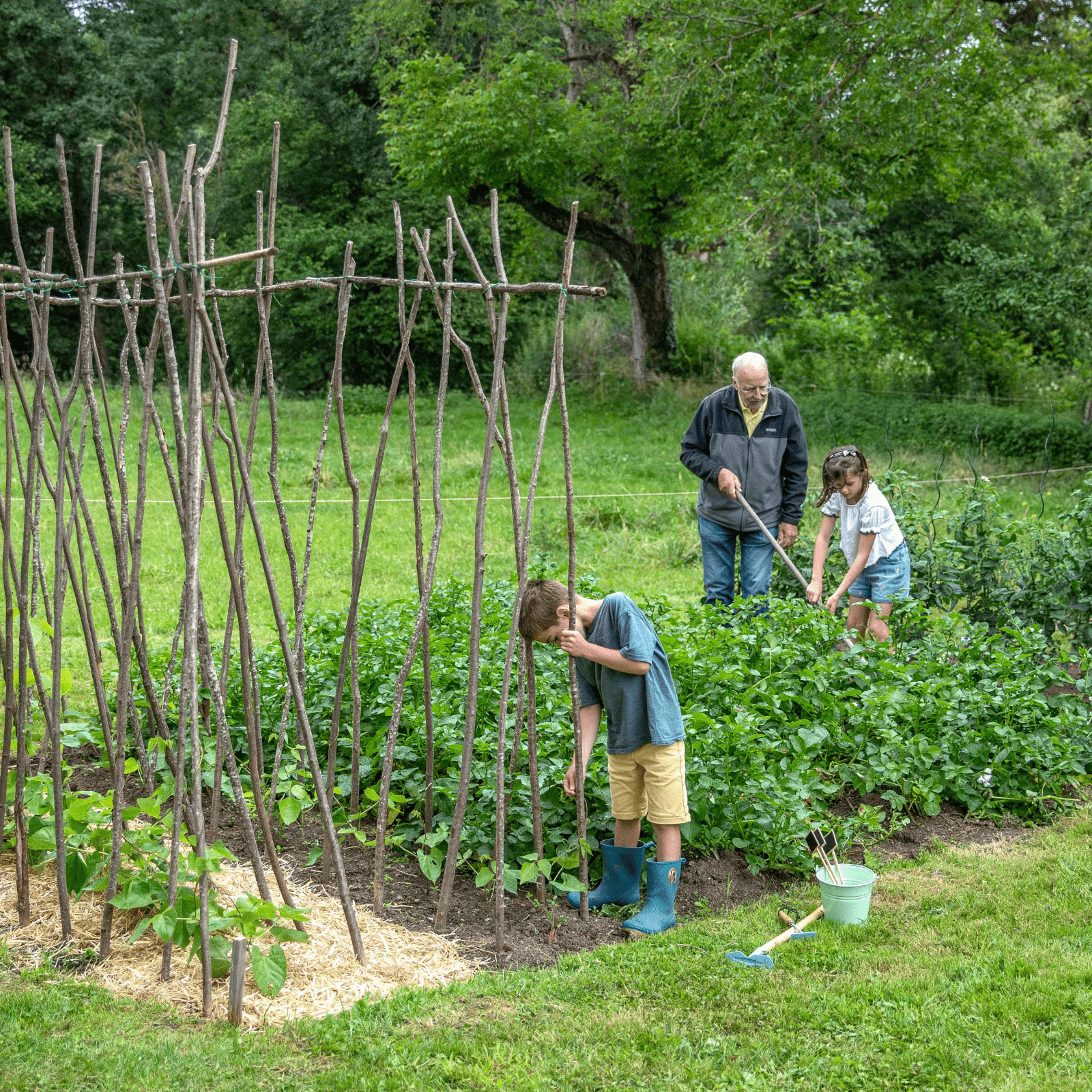 Famille au potager