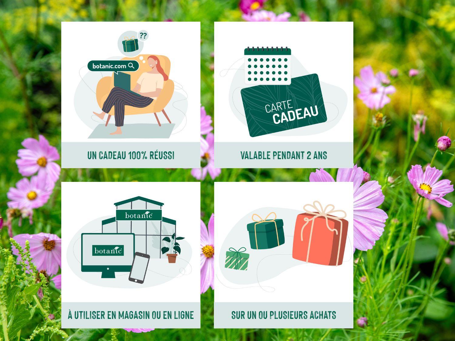 4 bonnes raisons d'offrir une carte cadeau botanic devant un champ de fleurs roses