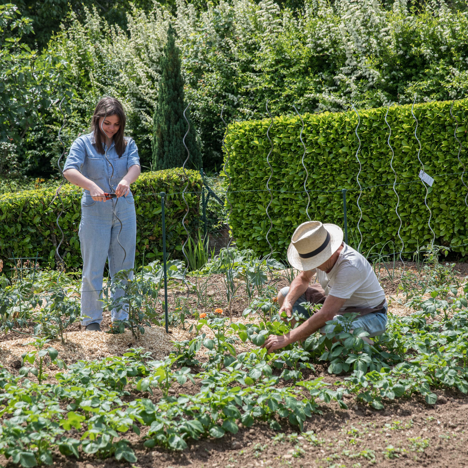 Une femme et un homme en train d'entretenir leur potager
