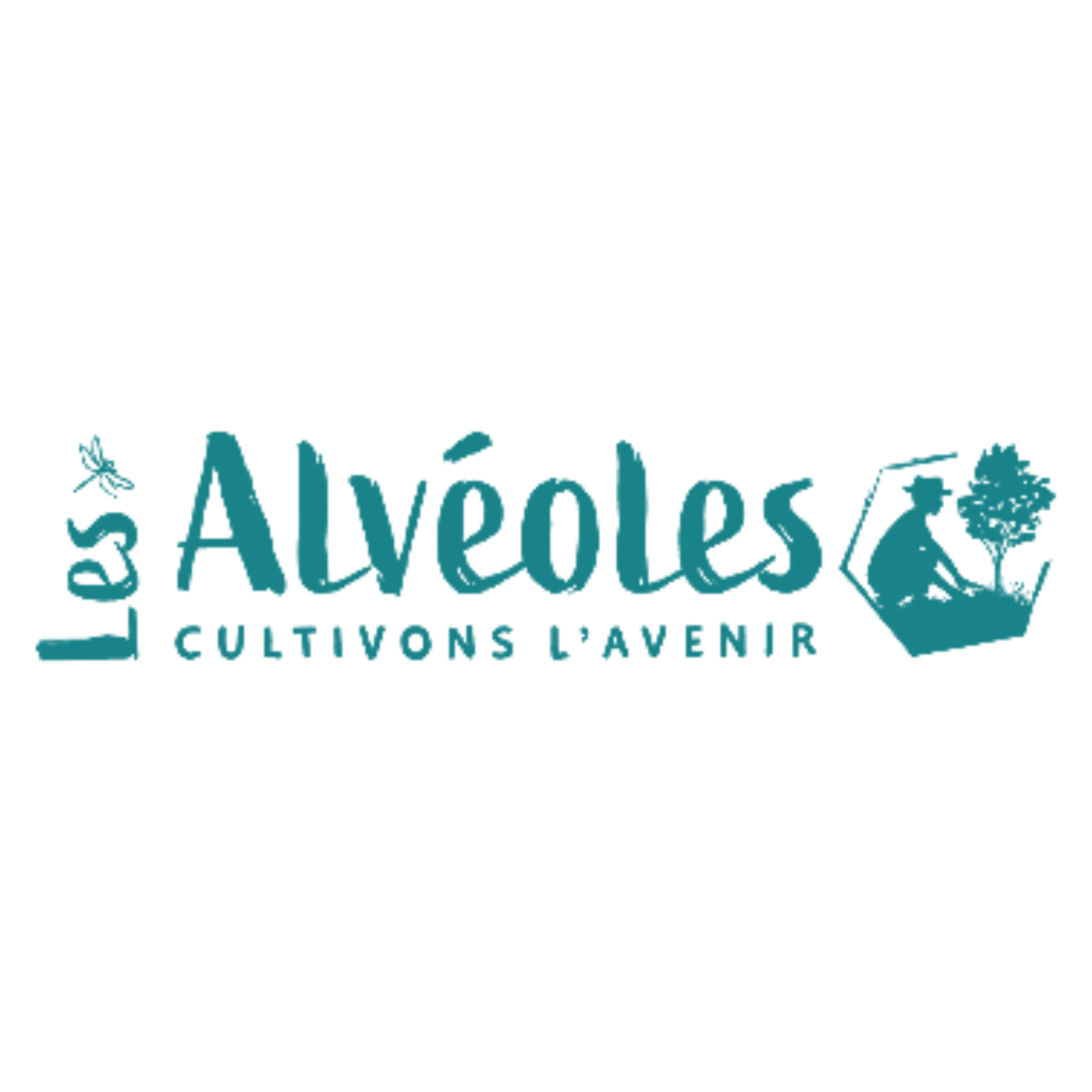 Les Alvéoles