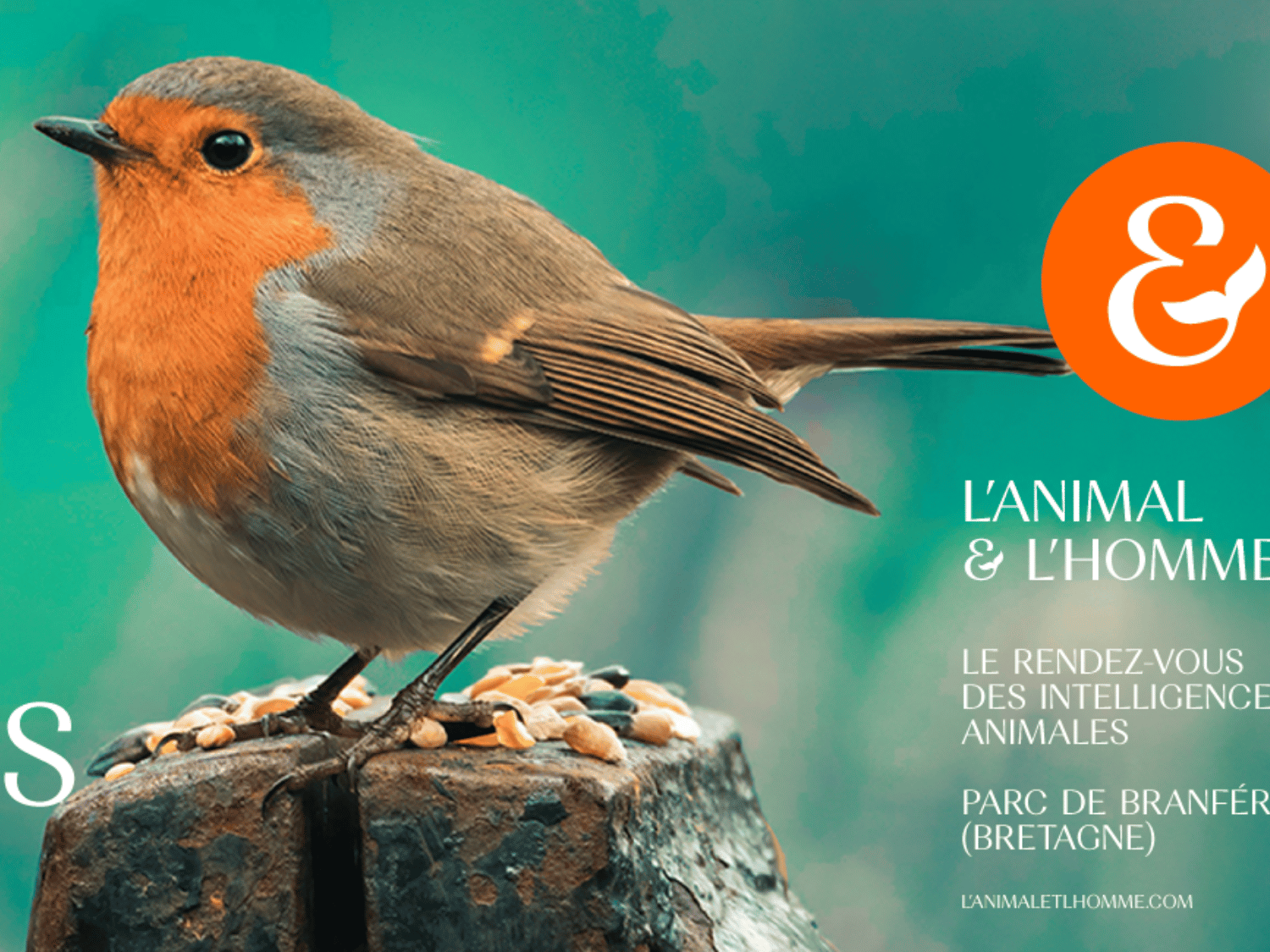 Visuel affiche des Rencontres des Intelligences Animales 2025