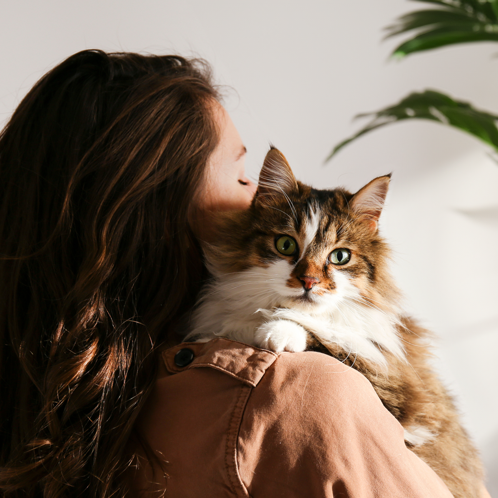 Une femme qui porte son chat