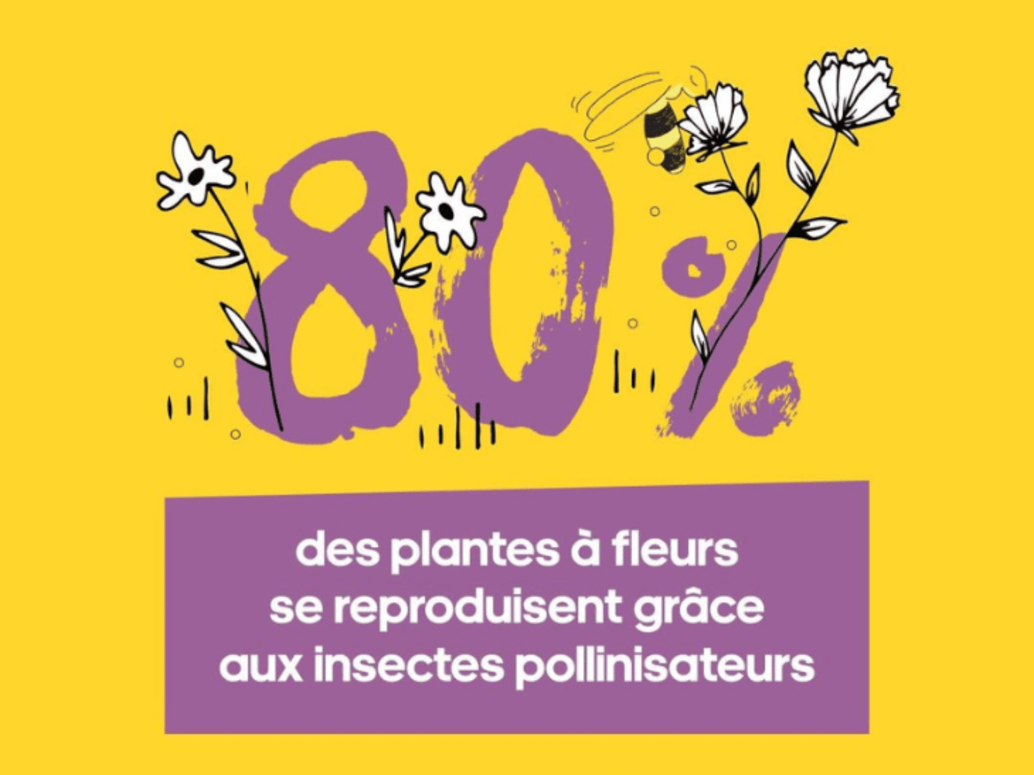 Un chiffre sur l'importance de la pollinissation émanant de l'OFA