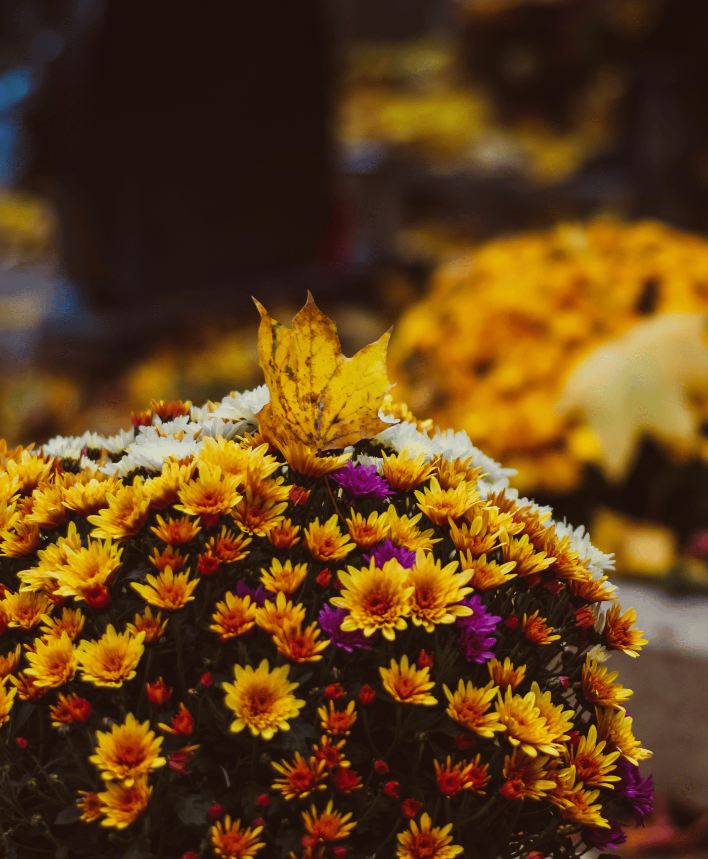 Composition florale de Toussaint Jaune et Orange
