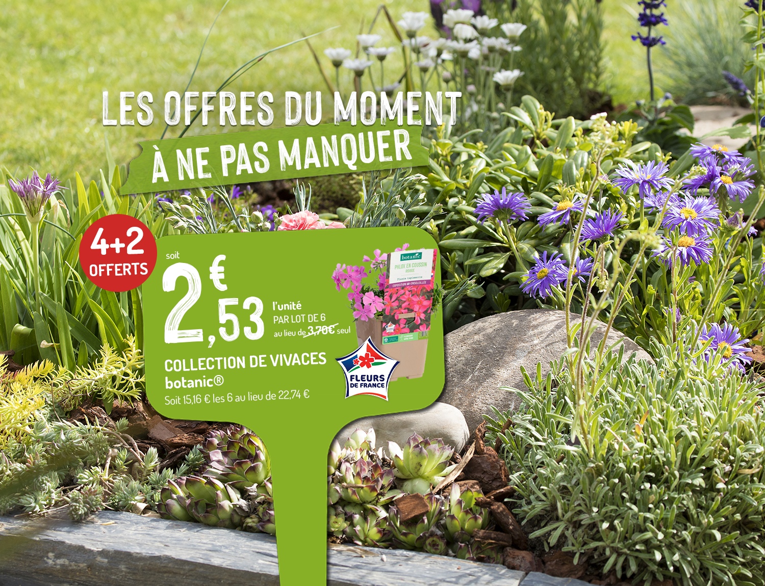 un jardin avec des vivaces colorées et fleuries