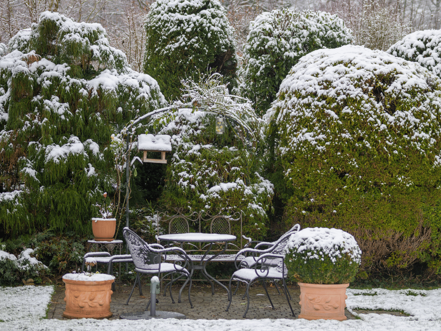 Un jardin couvert de neige en hiver
