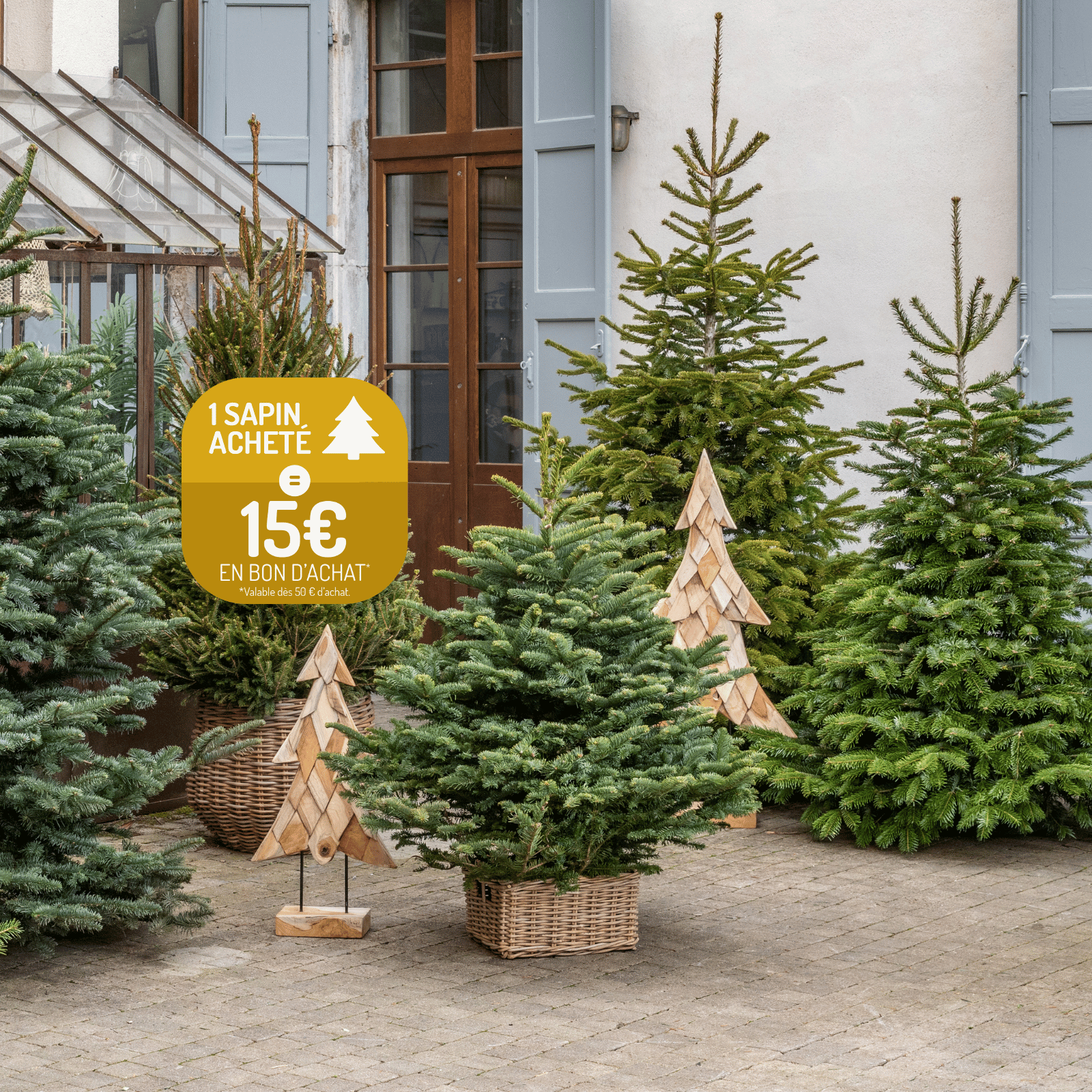 Différentes variétés de sapins de Noël avec picto promo