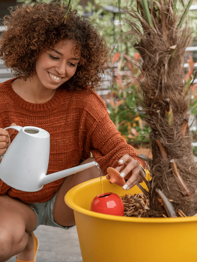 Une femme remplit d'eau un oyas pour hydrater un arbuste