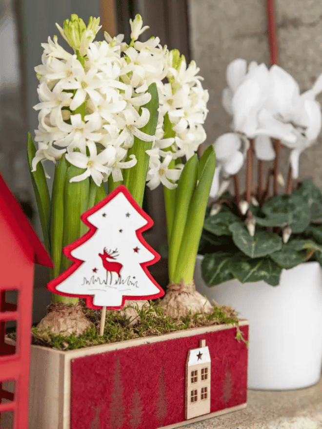 Un rebord de fenêtre décoré pour Noël