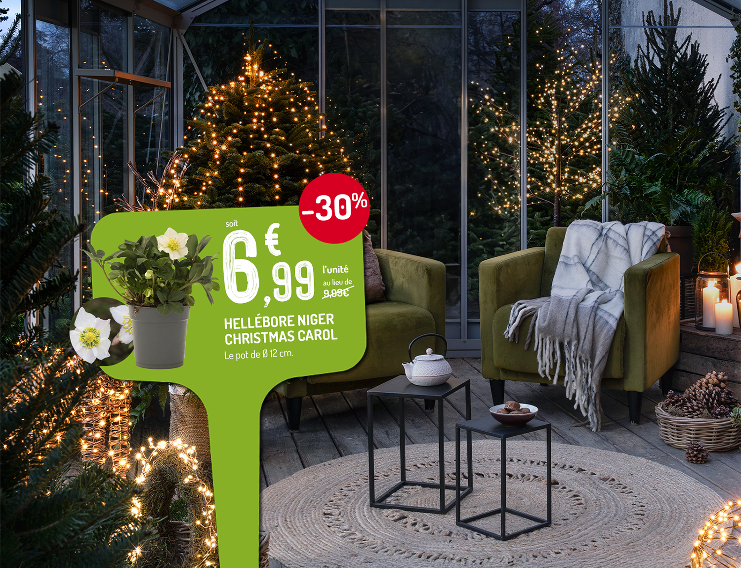 Une serre décorée pour Noël et illuminée