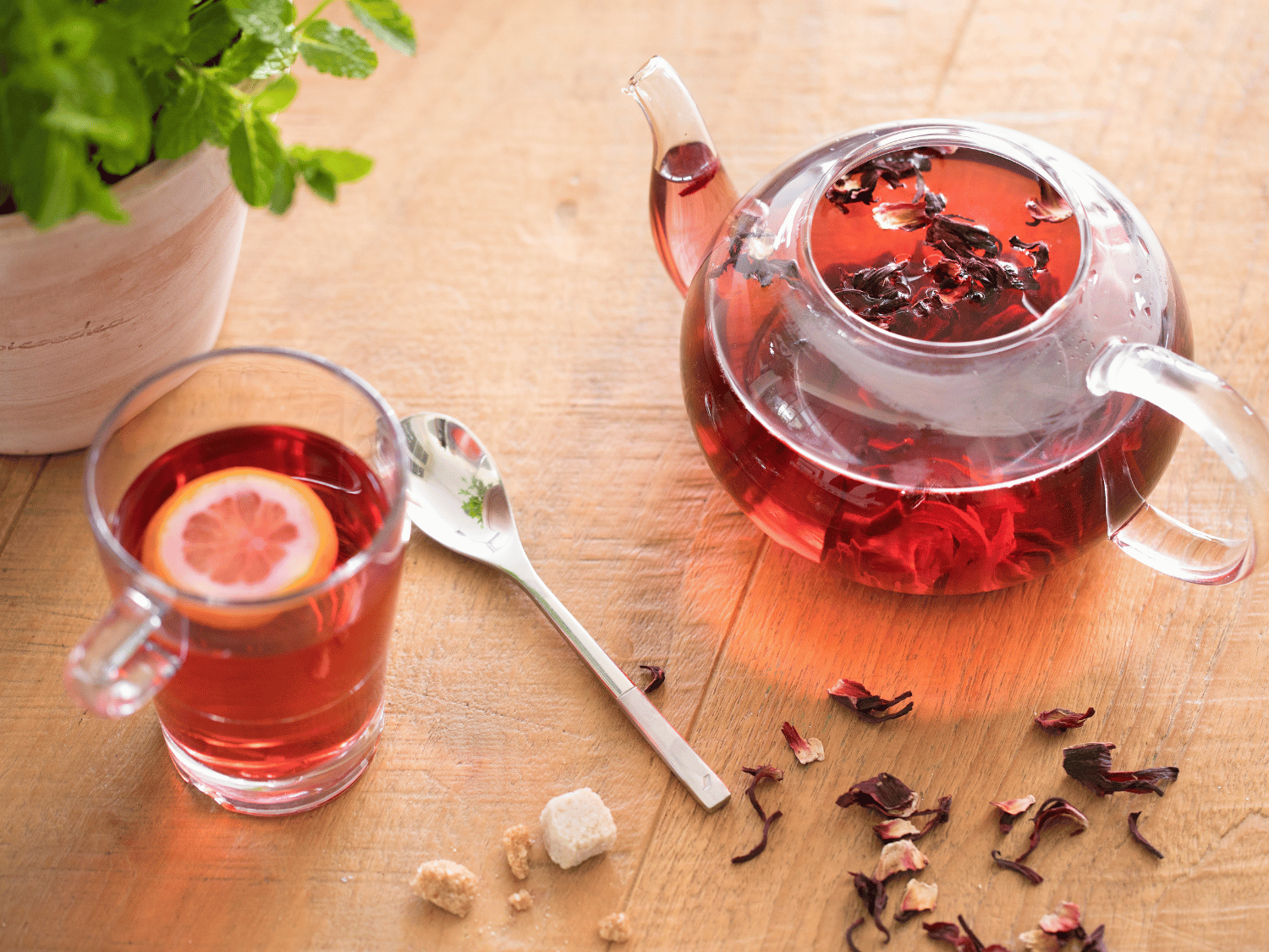 Une théière et tasse remplies d'infusions en vrac
