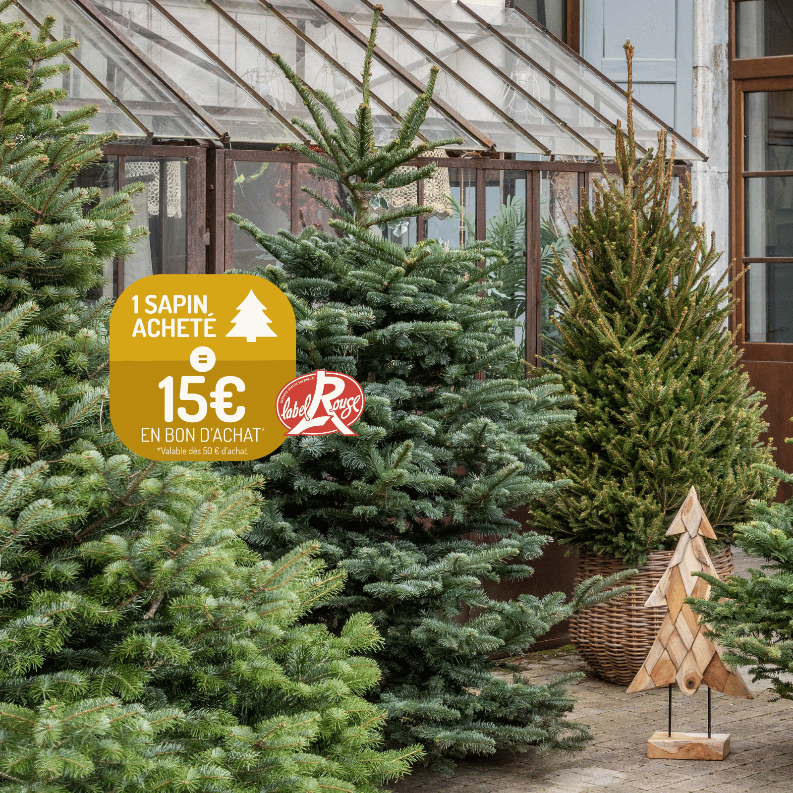 Variétés de sapins naturels avec des pictogrammes de promo