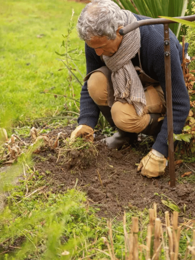 Un homme accroupi qui est en train de désherber son jardin