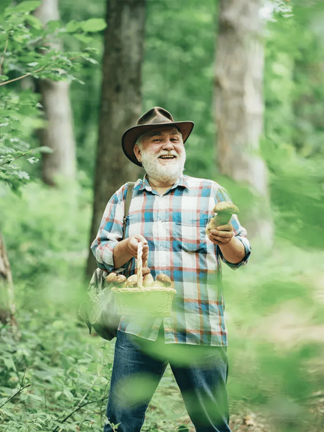 Tout savoir sur la cueillette des champignons