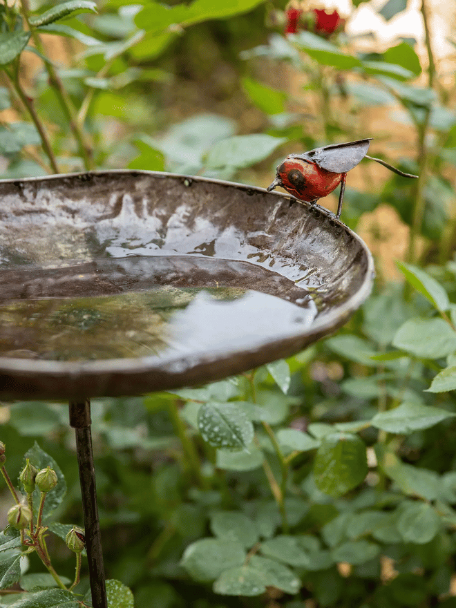 Un abreuvoir pour les oiseaux en métal dans un jardin