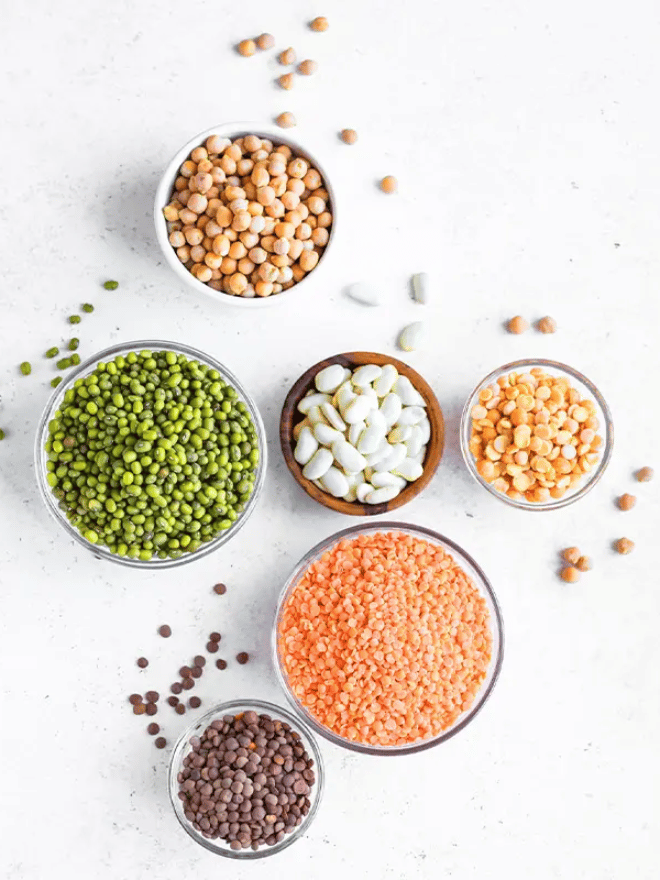 Tout savoir sur les légumineuses