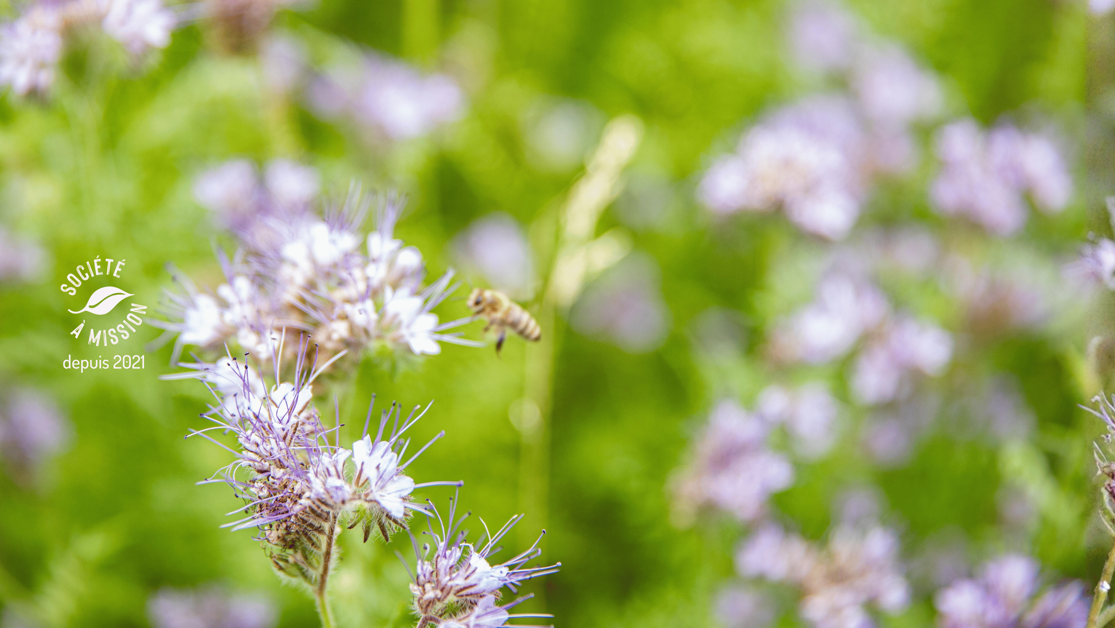 Slider société à mission botanic®, ensemble retrouver le chemin de la nature
