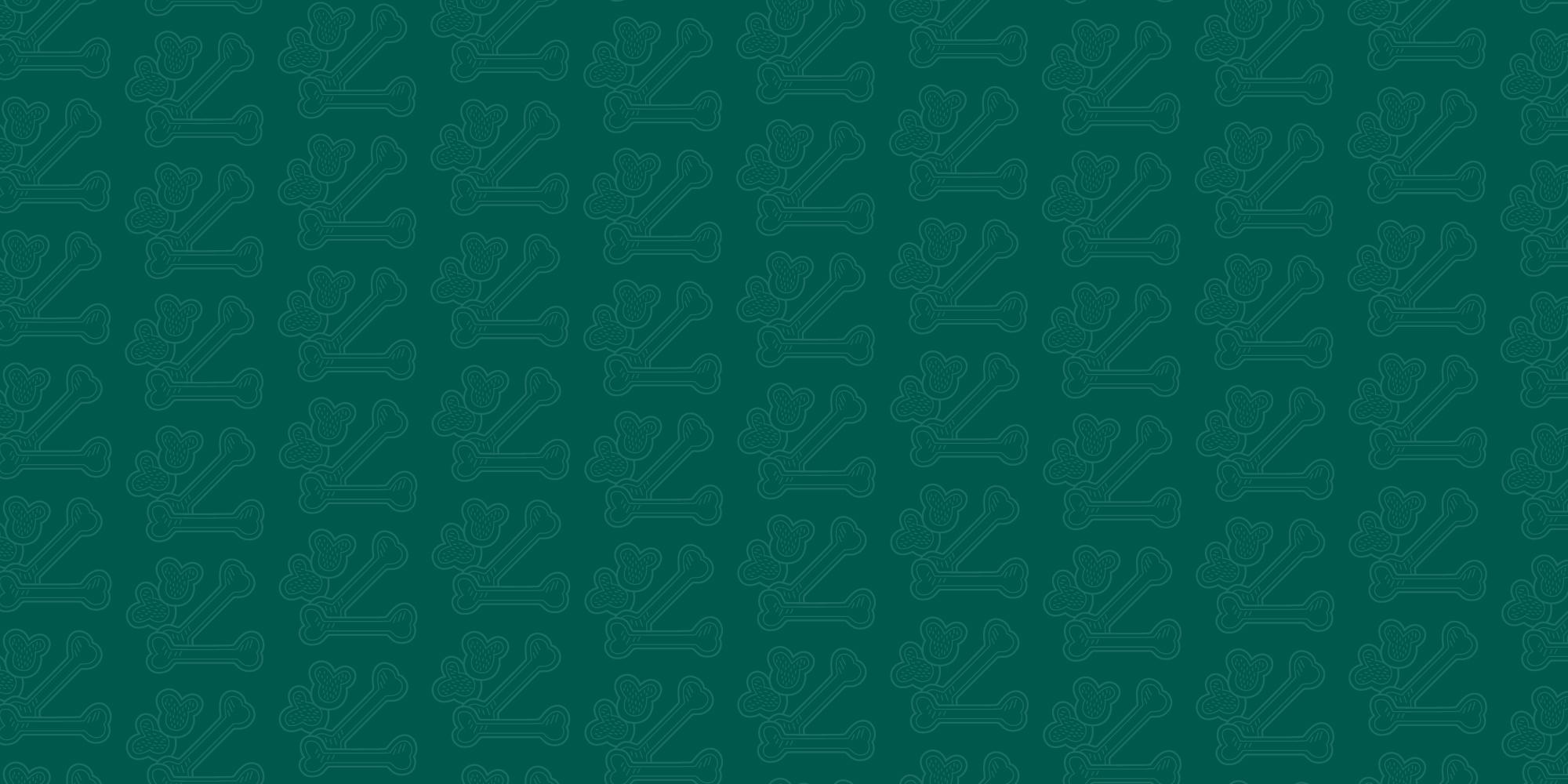 Fond vert avec pictogrammes croquettes et friandises