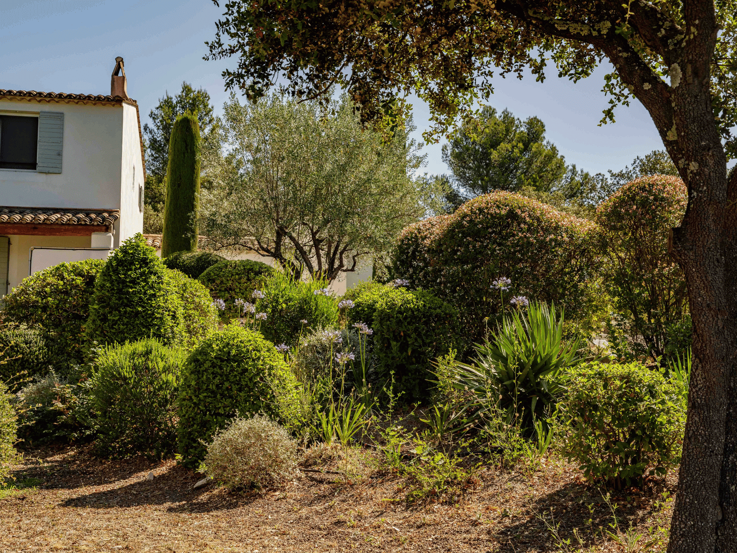 Le jardin d'une maison dans le sud avec des végétaux résistants à la sécheresse