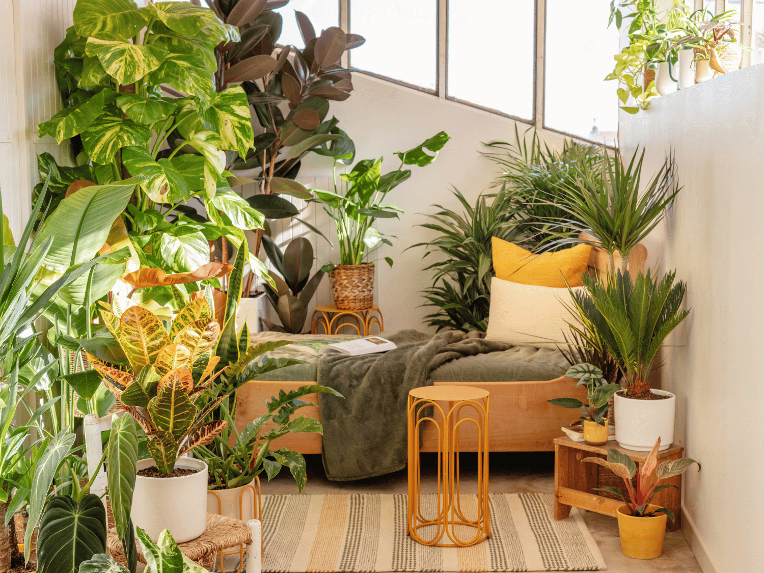 Une chambre exposé au soleil avec des plantes vertes et des décorations jaunes