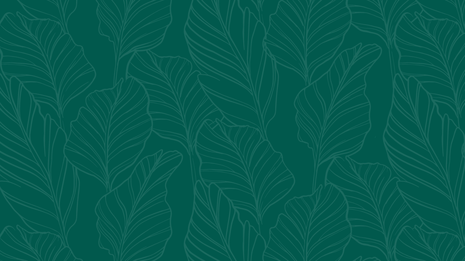 Gants de jardinage - Guide des tailles