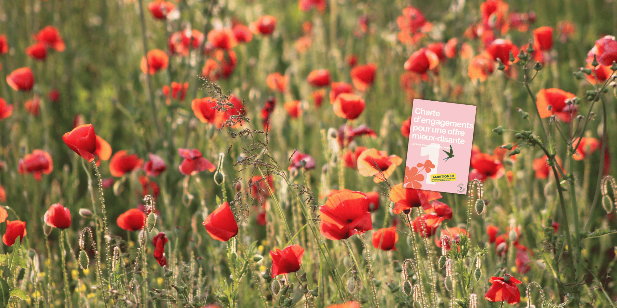 Le document "Charte d'engagements pour une offre mieux-disante" de botanic®