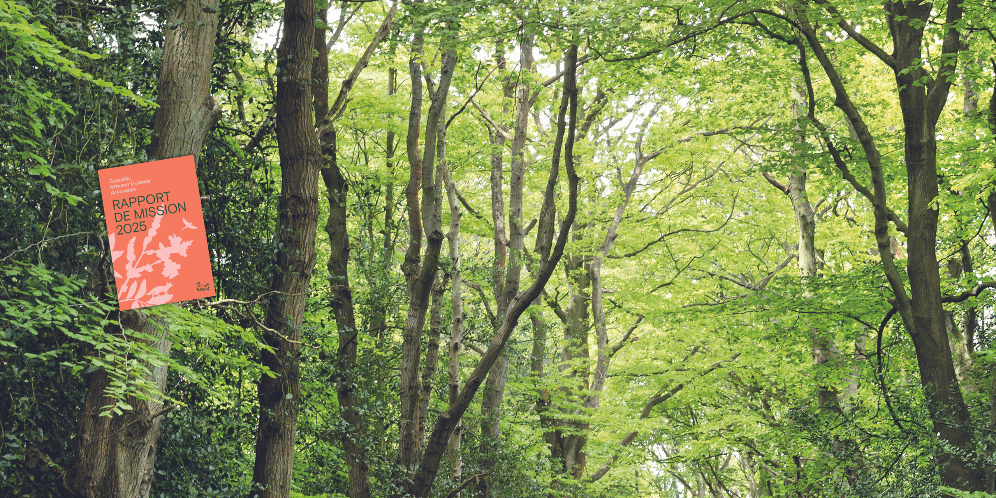 Le rapport de mission 2025 de la société à mission botanic