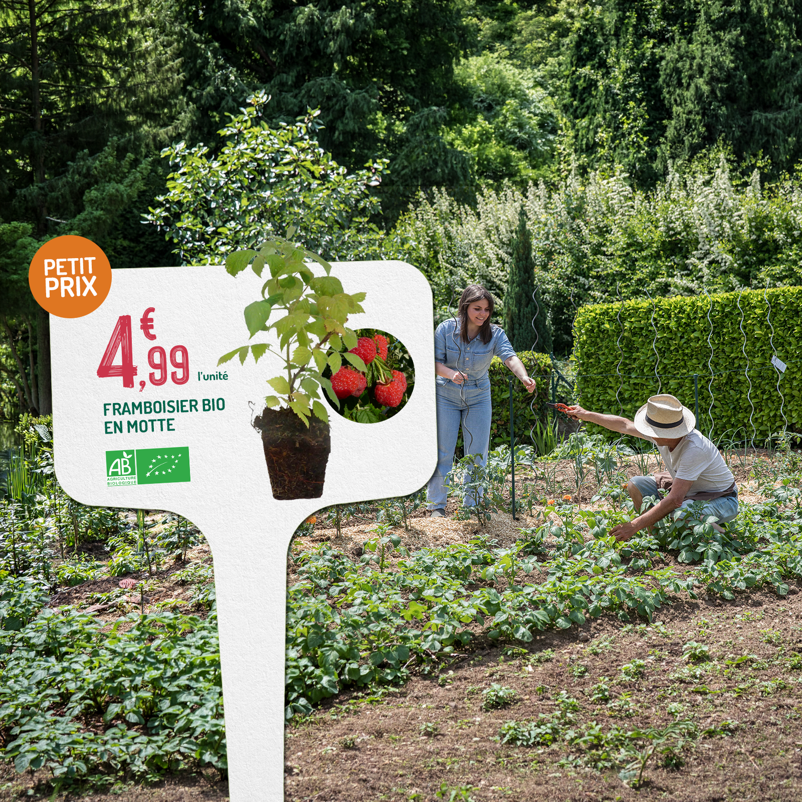 Deux personne dans un potager en train de jardiner