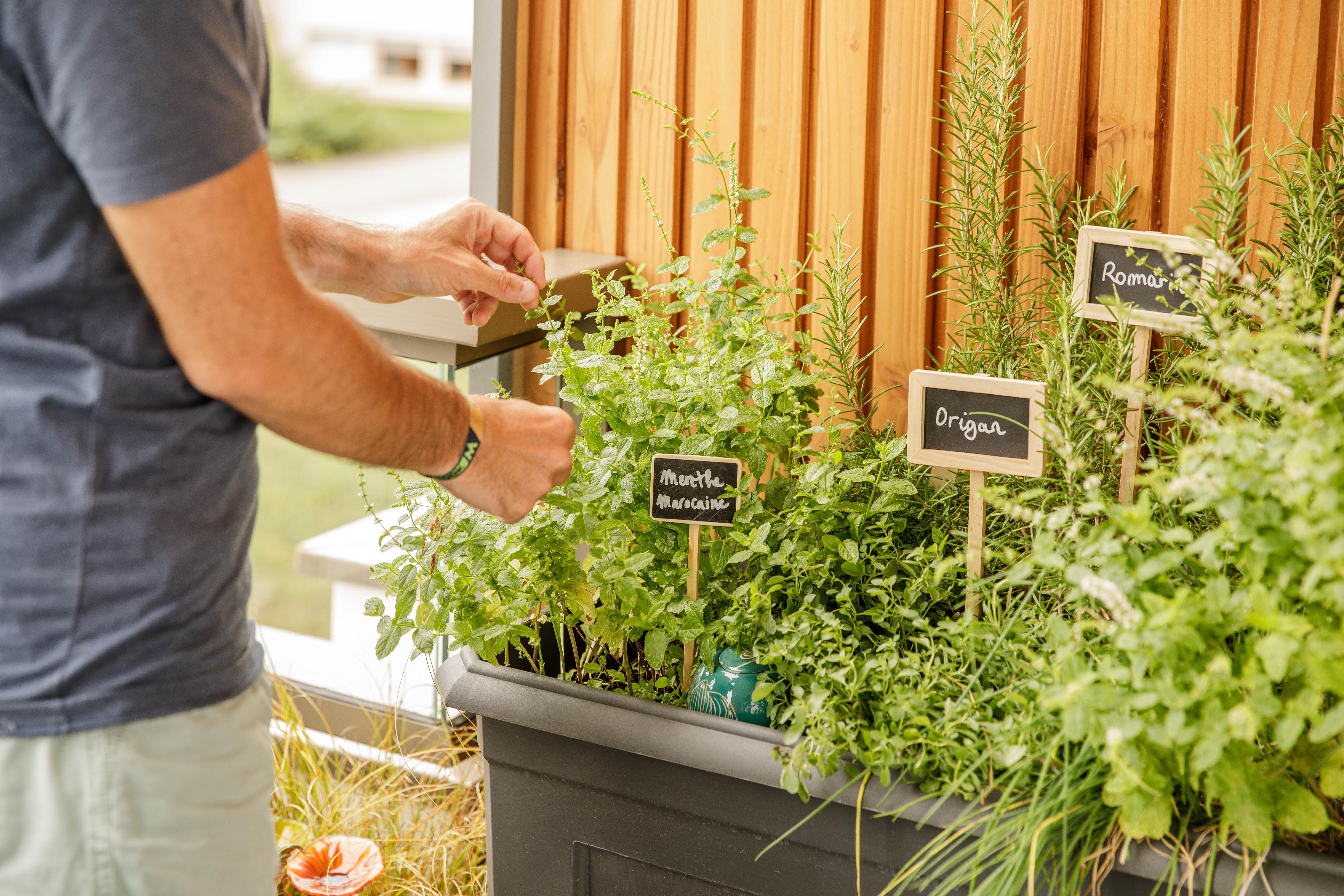 Un potager sur pied dans un balcon avec des aromatiques