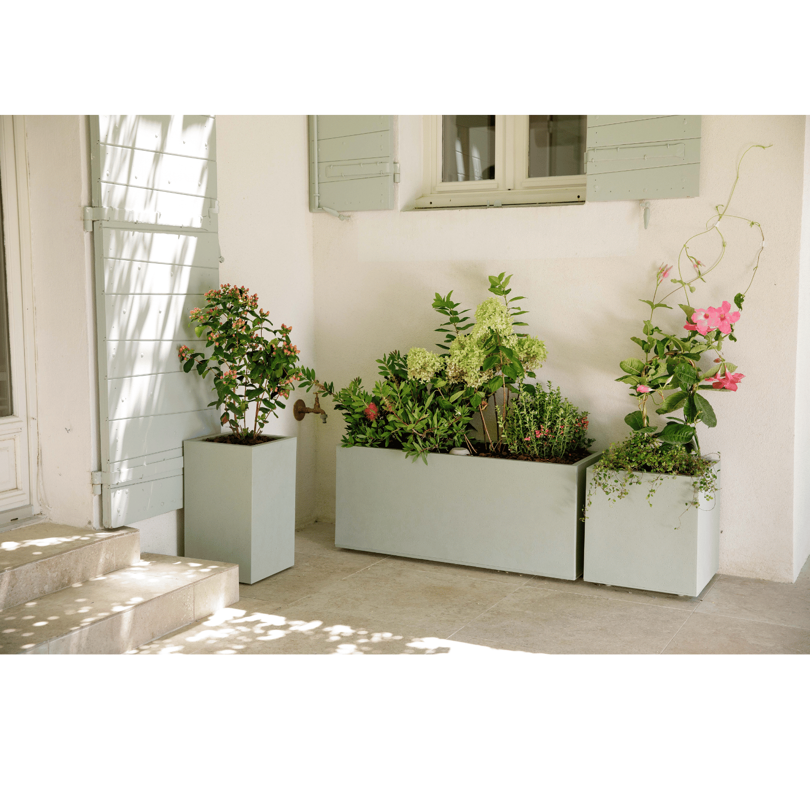 Plantes dans des pots blancs en extérieur sur une terrasse