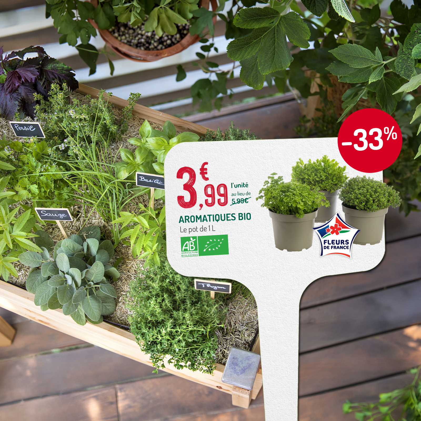 Un carré potager avec des aromatiques